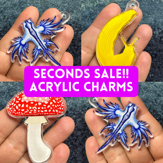 SECONDS SALE: Acrylic Charms