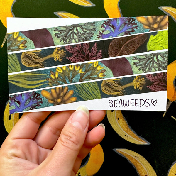Seaweeds Washi Tape! (No Foil) - Eco Friendly - Made from Wood Pulp!