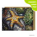 Tidepool Greeting Set by Emily Poole (3 Cards) - Community Corner Item! - FREE SHIPPING