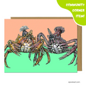Tidepool Greeting Set by Emily Poole (3 Cards) - Community Corner Item! - FREE SHIPPING