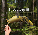 MEGA MAGNET! (1 foot long!!!!) Pacific Banana Slug - Ariolimax columbianus