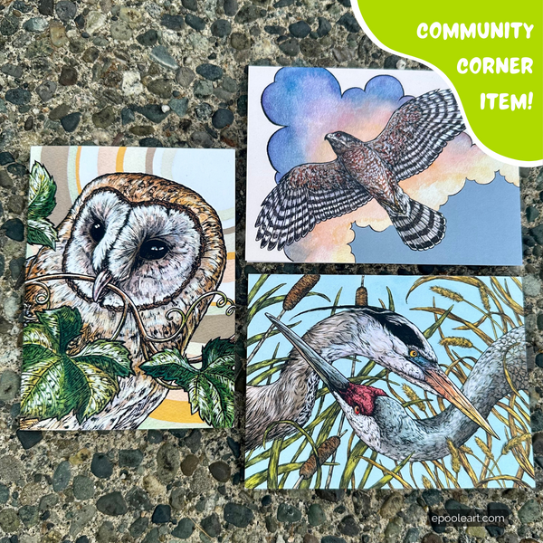 Bird Greeting Set by Emily Poole (3 Cards) - Community Corner Item! - FREE SHIPPING