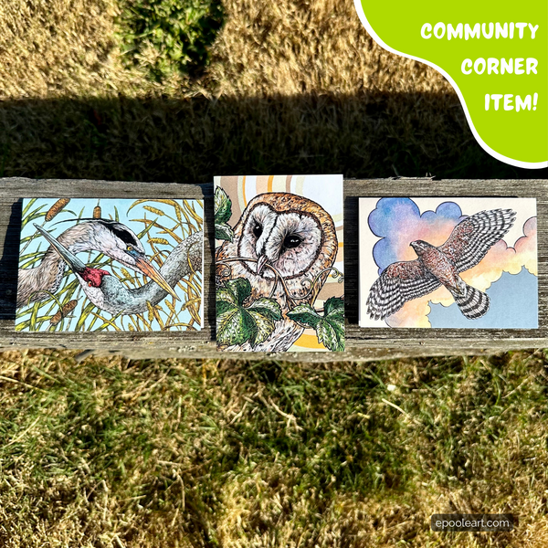 Bird Greeting Set by Emily Poole (3 Cards) - Community Corner Item! - FREE SHIPPING