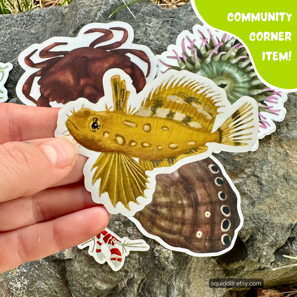 Tidepool Sticker Set by Squiddllr (5 Stickers) - Community Corner Item! - FREE SHIPPING