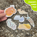 Nudibranch Sticker Set by Squiddllr (6 Stickers) - Community Corner Item! - FREE SHIPPING