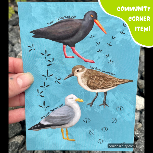 Ocean Bird Postcard Set by Squiddllr (2 Postcards) - Community Corner Item! - FREE SHIPPING