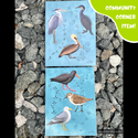 Ocean Bird Postcard Set by Squiddllr (2 Postcards) - Community Corner Item! - FREE SHIPPING