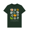 Evergreen SKU ONLY Lichen Tee - MASC