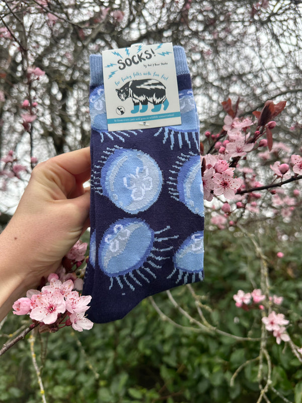 Moon Jellies Jellyfish Socks - $1 to Charity! - 80% Bamboo