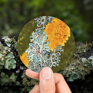 Lichens Sticker (Vinyl) - FREE SHIPPING