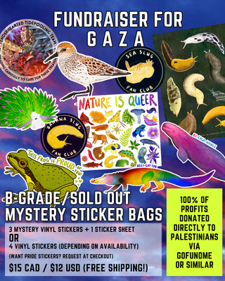 Fundraiser for Gaza - B-Grade/Sold Out Mystery Sticker Bundle - FREE SHIPPING