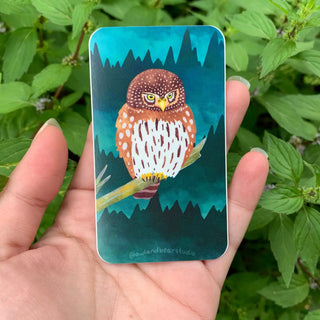 Pygmy Owl Sticker (Eco Vinyl) - FREE SHIPPING