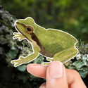 Pacific Chorus Frog Sticker (Eco Vinyl) - FREE SHIPPING