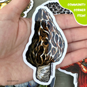 Pacific Northwest Mushrooms Sticker Set by Emily Poole (5 Stickers) - Community Corner Item! - FREE SHIPPING