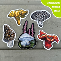 Pacific Northwest Mushrooms Sticker Set by Emily Poole (5 Stickers) - Community Corner Item! - FREE SHIPPING