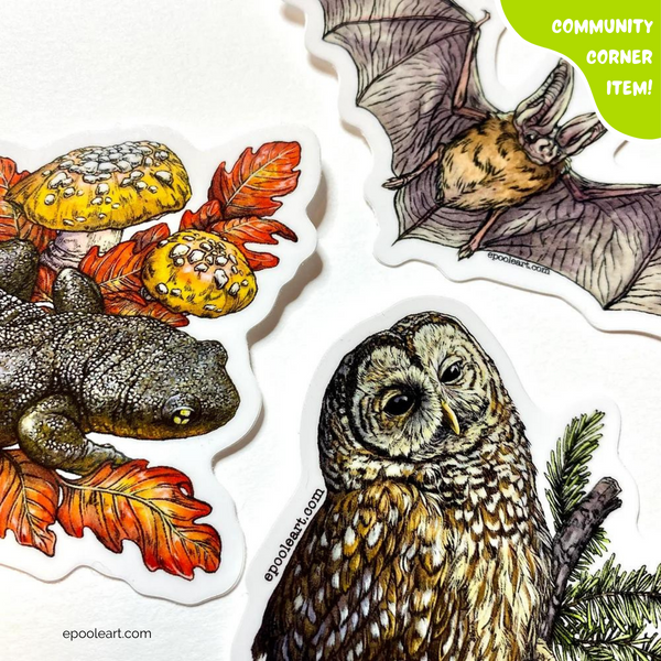 Pacific Northwest Critters Sticker Set by Emily Poole (5 Stickers) - Community Corner Item! - FREE SHIPPING