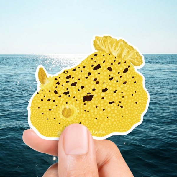 Sea Lemon Nudibranch Sticker (Vinyl) - FREE SHIPPING