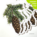 Pacific Northwest Botanical Sticker Set by Emily Poole (5 Stickers) - Community Corner Item! - FREE SHIPPING