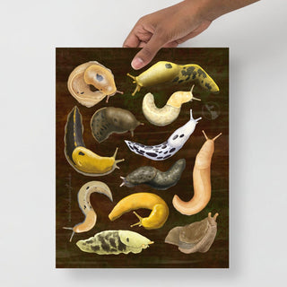 A Dozen Banana Slugs Art Print (Multiple Sizes)