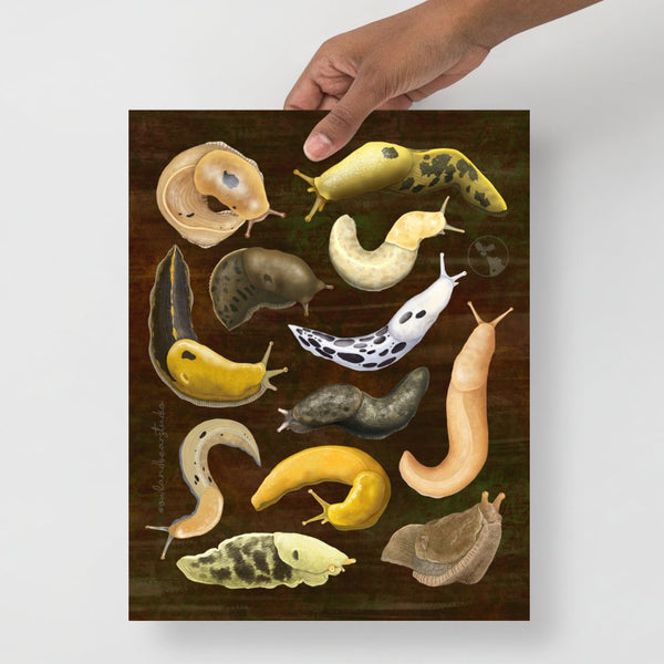 A Dozen Banana Slugs Art Print (Multiple Sizes)