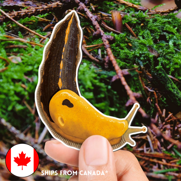 SUPER LIMITED EDITION! Banana Slug Magnet (3 inches) - Ariolimax columbianus