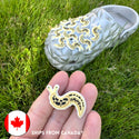 A cute pale yellow Banana Slug shoe charm patterned with black spots, and a Croc covered in shoe charms in the background.