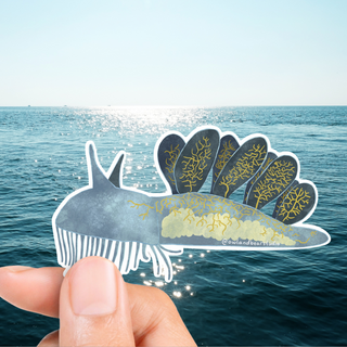Hooded Nudibranch Sticker (Vinyl) - FREE SHIPPING