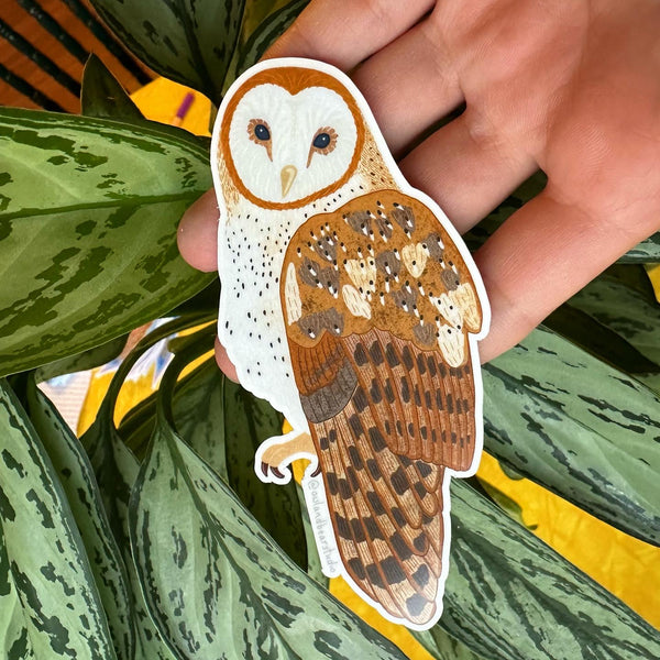 Barn Owl Sticker (Vinyl) - FREE SHIPPING