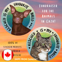 FUNDRAISER FOR THE ANIMALS IN GAZA - Rescued Is My Favourite Breed Stickers (Vinyl) - 100% of Profits Donated to Sulala Animal Rescue in Palestine