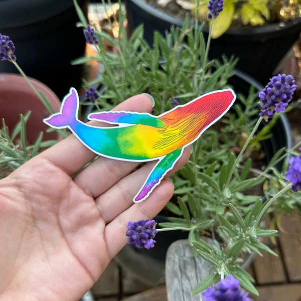 Rainbow Humpback Whale Pride Sticker (Eco Vinyl)