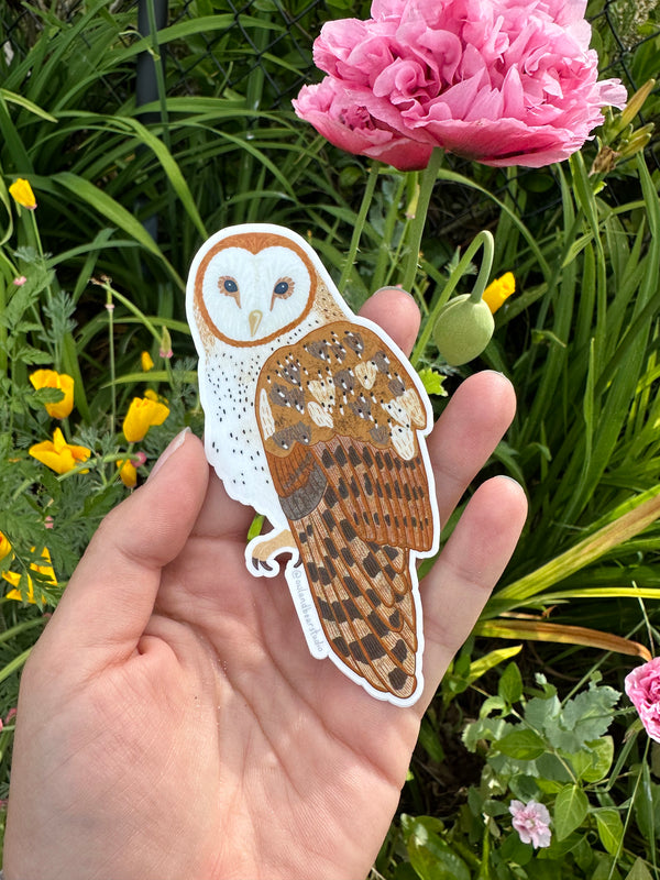 Barn Owl Sticker (Eco-Vinyl)