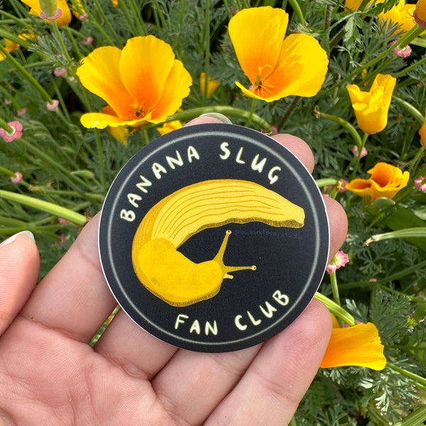 Banana Slug Fan Club Sticker (Eco Vinyl)