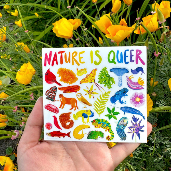 Nature Is Queer Sticker - Eco Vinyl - Pride (FREE SHIPPING)