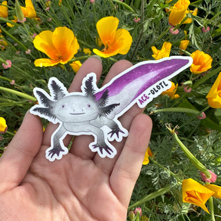 Ace-Olotl Sticker - Eco Vinyl - Asexual Axolotl Pride