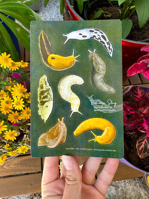 Banana Slugs Sticker Sheet (Paper) - Recyclable! - FREE SHIPPING