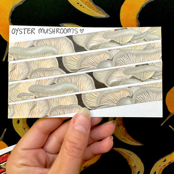 Oyster Mushroom Washi Tape! (No Foil) - Eco Friendly - Made from Wood Pulp!