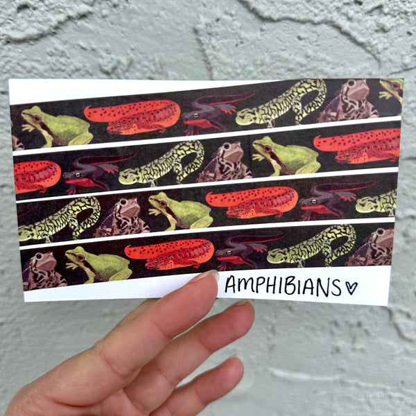 Amphibians Washi Tape! (No Foil) - Eco Friendly - Made from Wood Pulp!