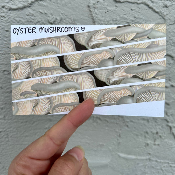 Oyster Mushroom Washi Tape! (No Foil) - Eco Friendly - Made from Wood Pulp!