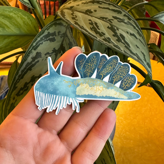 SUPER LIMITED EDITION! Hooded Nudibranch Magnet - Melibe leonina