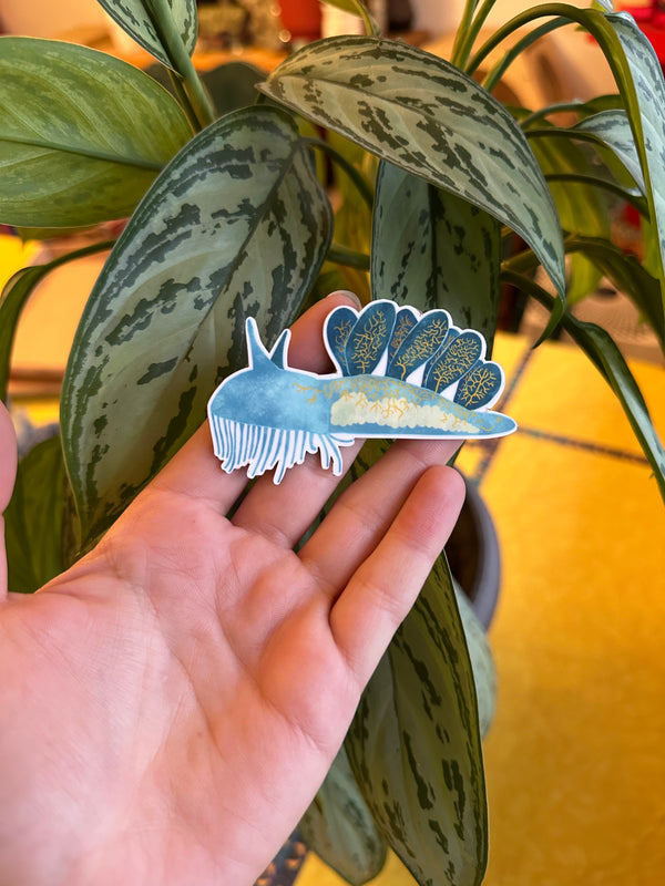 SUPER LIMITED EDITION! Hooded Nudibranch Magnet - Melibe leonina