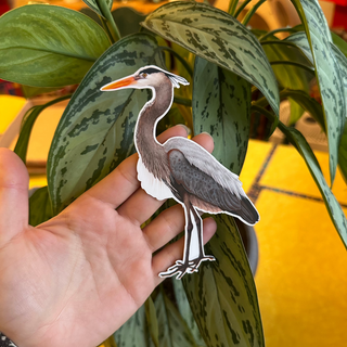 SUPER LIMITED EDITION! Great Blue Heron Magnet - Ardea herodias