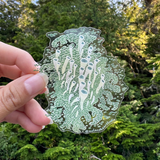 Pixie Cup Lichen Sticker (Clear Vinyl) - Cladonia Lichen - FREE SHIPPING