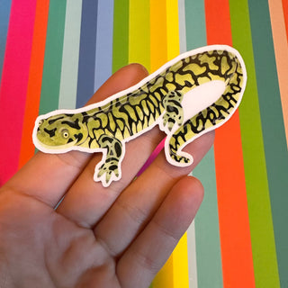 Tiger Salamander Sticker (Vinyl) - FREE SHIPPING