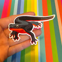 Rough-Skinned Newt Sticker (Vinyl) (***RETIRED***)