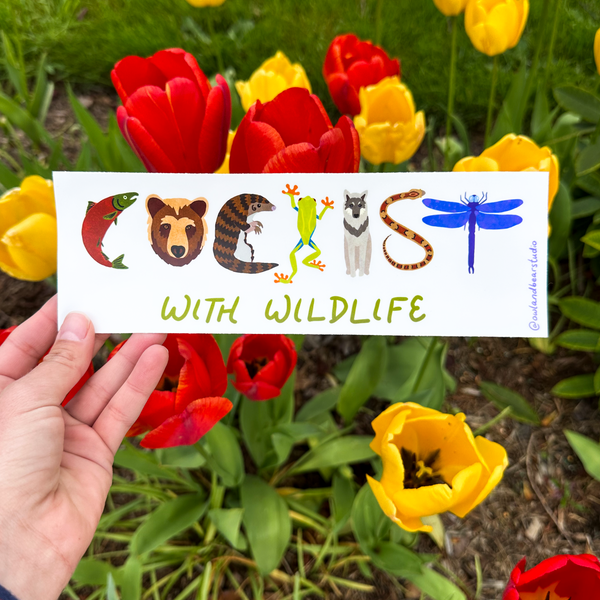 COEXIST With Wildlife Bumper Sticker (Vinyl) - FREE SHIPPING