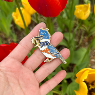 Belted Kingfisher Pin - 25% to Charity!