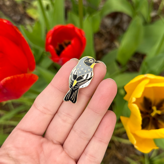 Butterbutt Warbler Pin - 25% to Charity - Yellow-Rumped Warbler Bird Enamel Pin