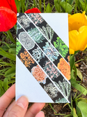 Lichen Washi Tape! (No Foil) - Eco Friendly - Made from Wood Pulp!