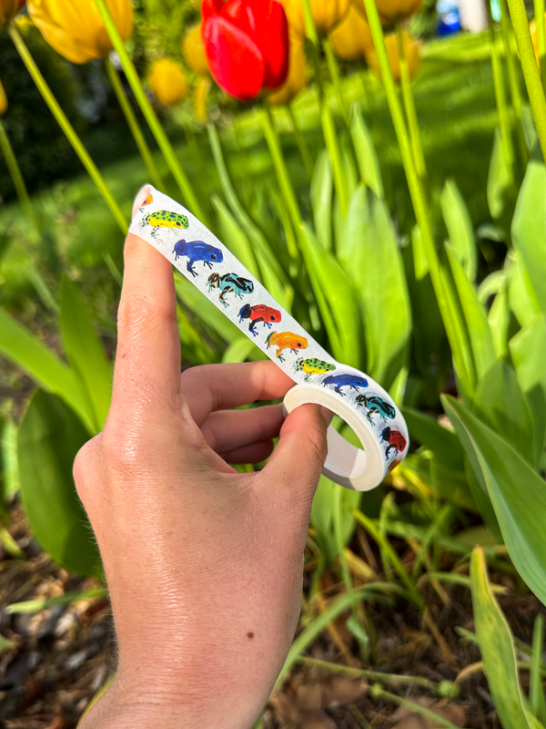 Strawberry Poison Frogs Washi Tape! (No Foil) - Frog Rainbow - Eco Friendly - Made from Wood Pulp!
