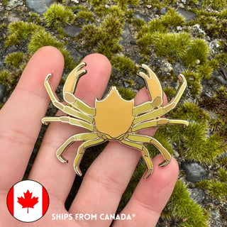 Kelp Crab Enamel Pin - 25% to Charity! - Pugettia producta